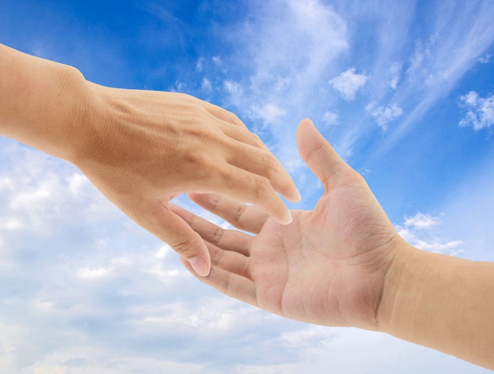 insurance advisor in Orewa